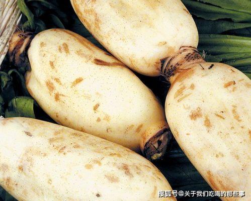 皖江工吃瓜,揭秘校园生活趣事