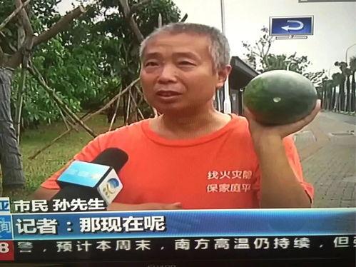 凉山热门吃瓜事件